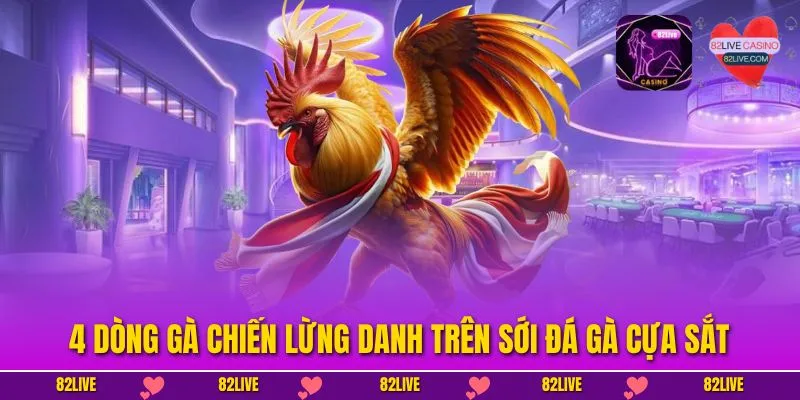 4 dòng gà chiến lừng danh trên sới đá gà cựa sắt