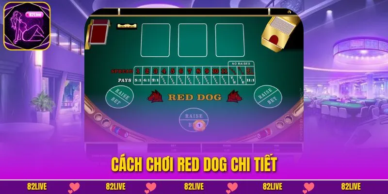 Cách chơi Red Dog chi tiết