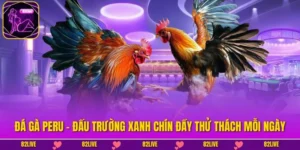 Đá Gà Peru