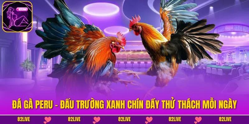 Đá Gà Peru
