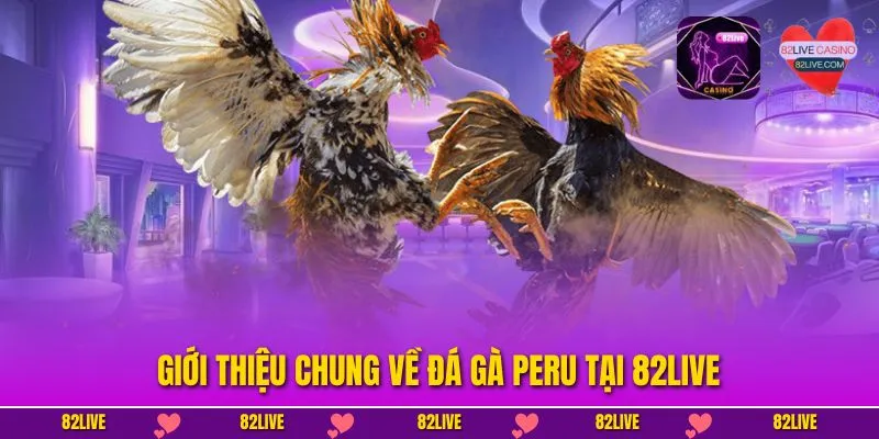 Giới thiệu chung về đá gà peru tại 82LIVE