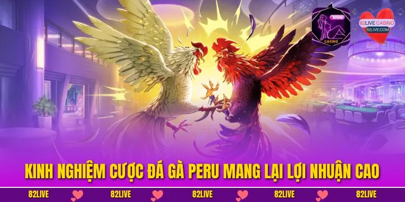 Kinh nghiệm cược đá gà peru mang lại lợi nhuận cao