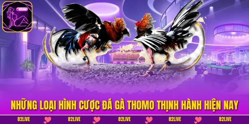 Những loại hình cược đá gà thomo thịnh hành hiện nay